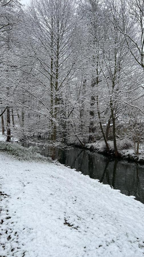 Spreewald Chalet Wohnung Burg  Dış mekan fotoğraf